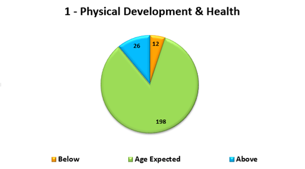 Aggregate Child Assessment Report - Pie Chart (1)
