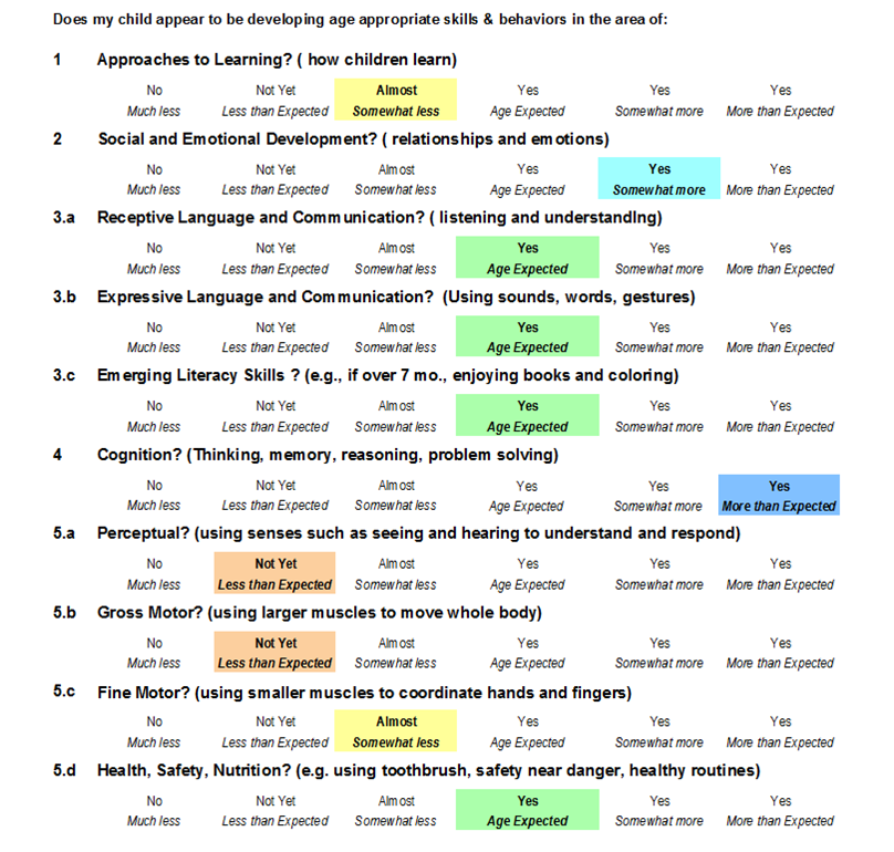 Individual Child Assessment - Age Expected Boxes