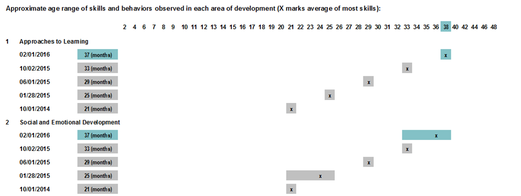 Individual Child Progress Report